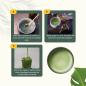 Preview: Matcha-Tee-Pulver Bio - 90 Gramm