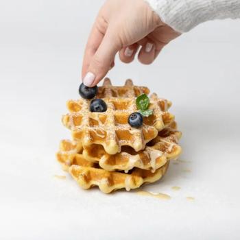 KETO Backmischung-Keto Waffeln