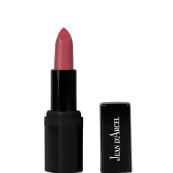 LIP COLOR NO 106